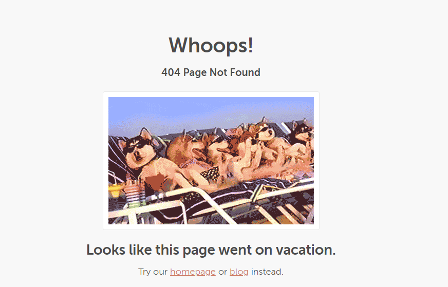killer-404-page-screaming-frog